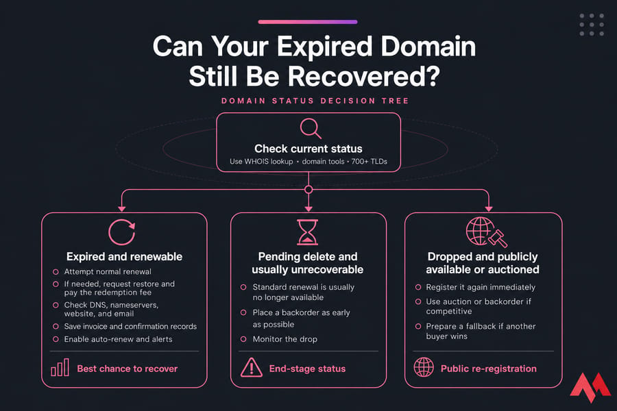 Decision tree infographic for expired, pending delete, and dropped domain recovery options