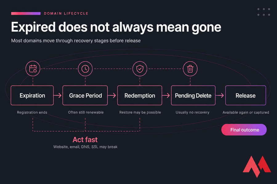 Five-step infographic showing domain expiration through grace, redemption, pending delete, and release.