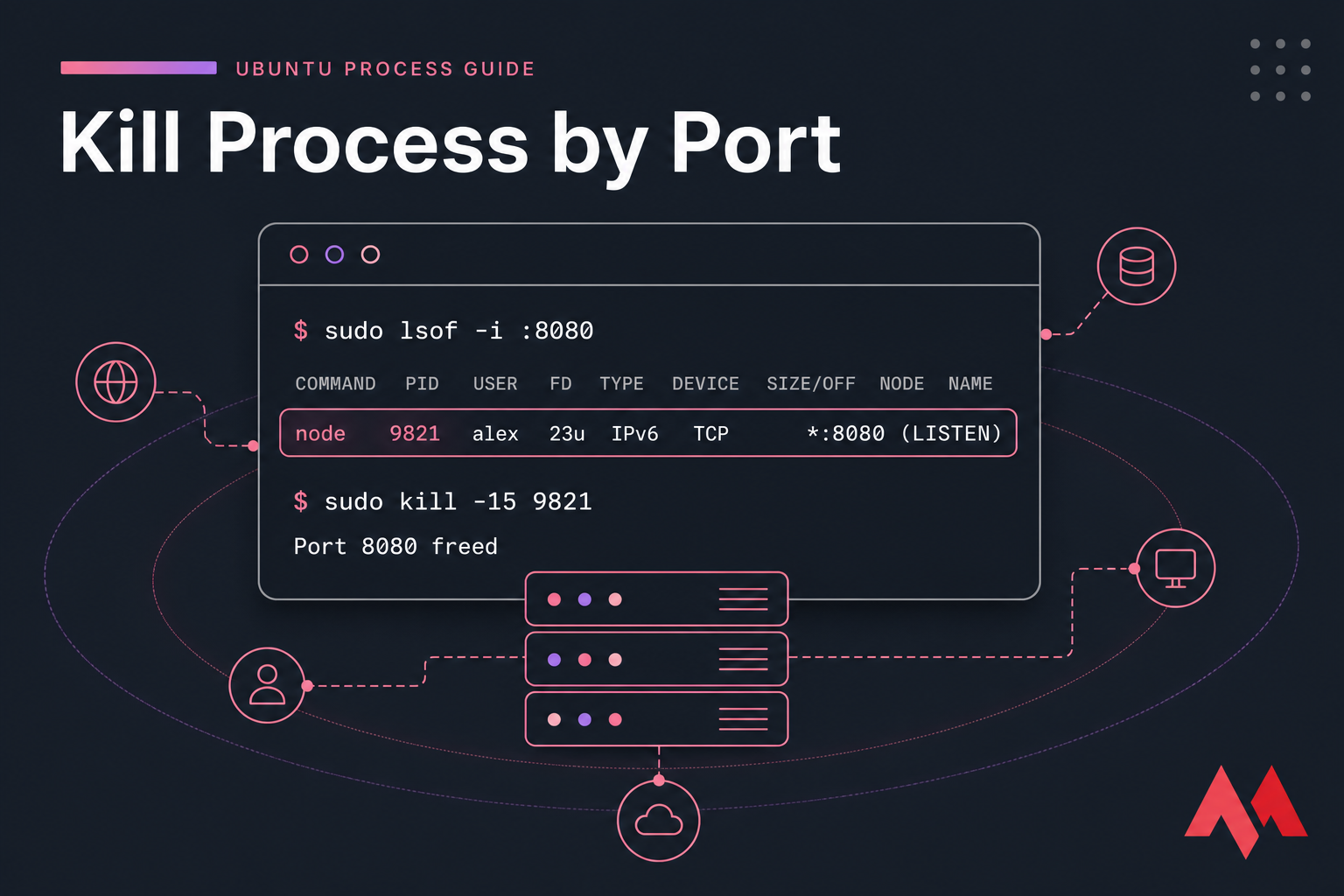 Stylised terminal illustration showing lsof on port 8080, a node PID highlighted, and a successful kill command.
