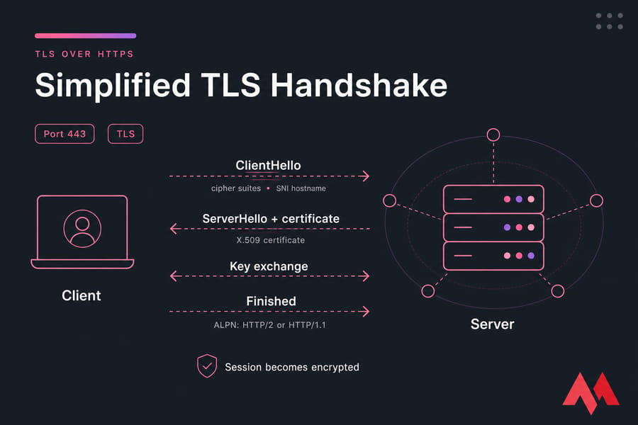 TLS handshake diagram showing ClientHello, ServerHello plus certificate, key exchange, and Finished on port 443