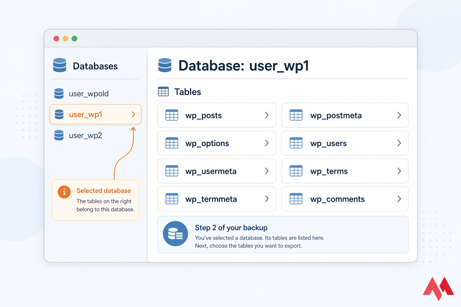 Stylised phpMyAdmin dashboard with WordPress database selected and tables listed