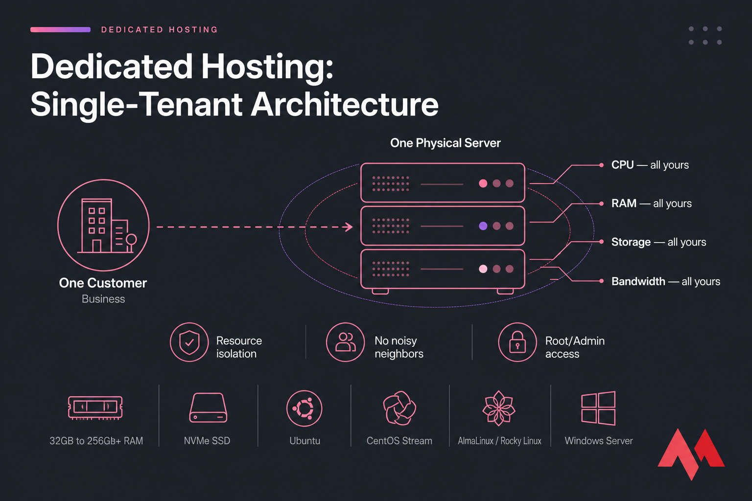Diagram of dedicated hosting with one customer connected to one physical server and exclusive resources.